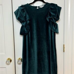 THML Bubble Ruffle Sleeve Velvet Dress